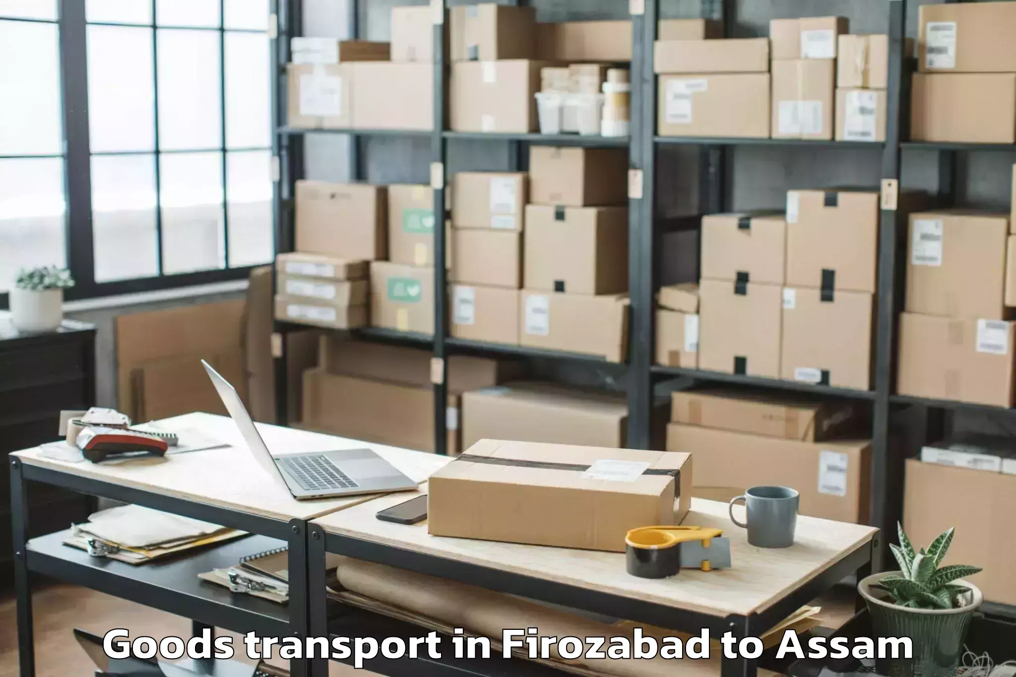 Hassle-Free Firozabad to Dibrugarh University Dibrugarh Goods Transport